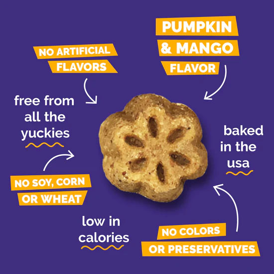 Fruitables - Skinny Minis Pumpkin & Mango Soft & Chewy Dog Treats