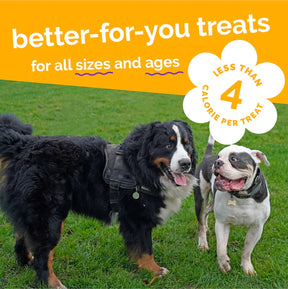 Fruitables - Skinny Minis Pumpkin & Mango Soft & Chewy Dog Treats