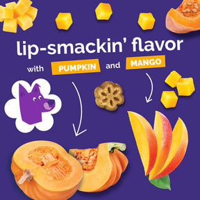 Fruitables - Skinny Minis Pumpkin & Mango Soft & Chewy Dog Treats
