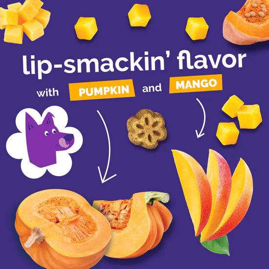 Fruitables - Skinny Minis Pumpkin & Mango Soft & Chewy Dog Treats