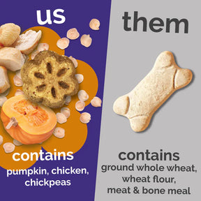 Fruitables - Skinny Minis Rotisserie Chicken Soft & Chewy Dog Treats