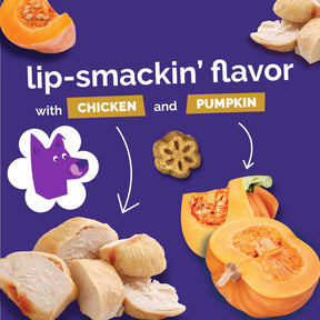 Fruitables - Skinny Minis Rotisserie Chicken Soft & Chewy Dog Treats