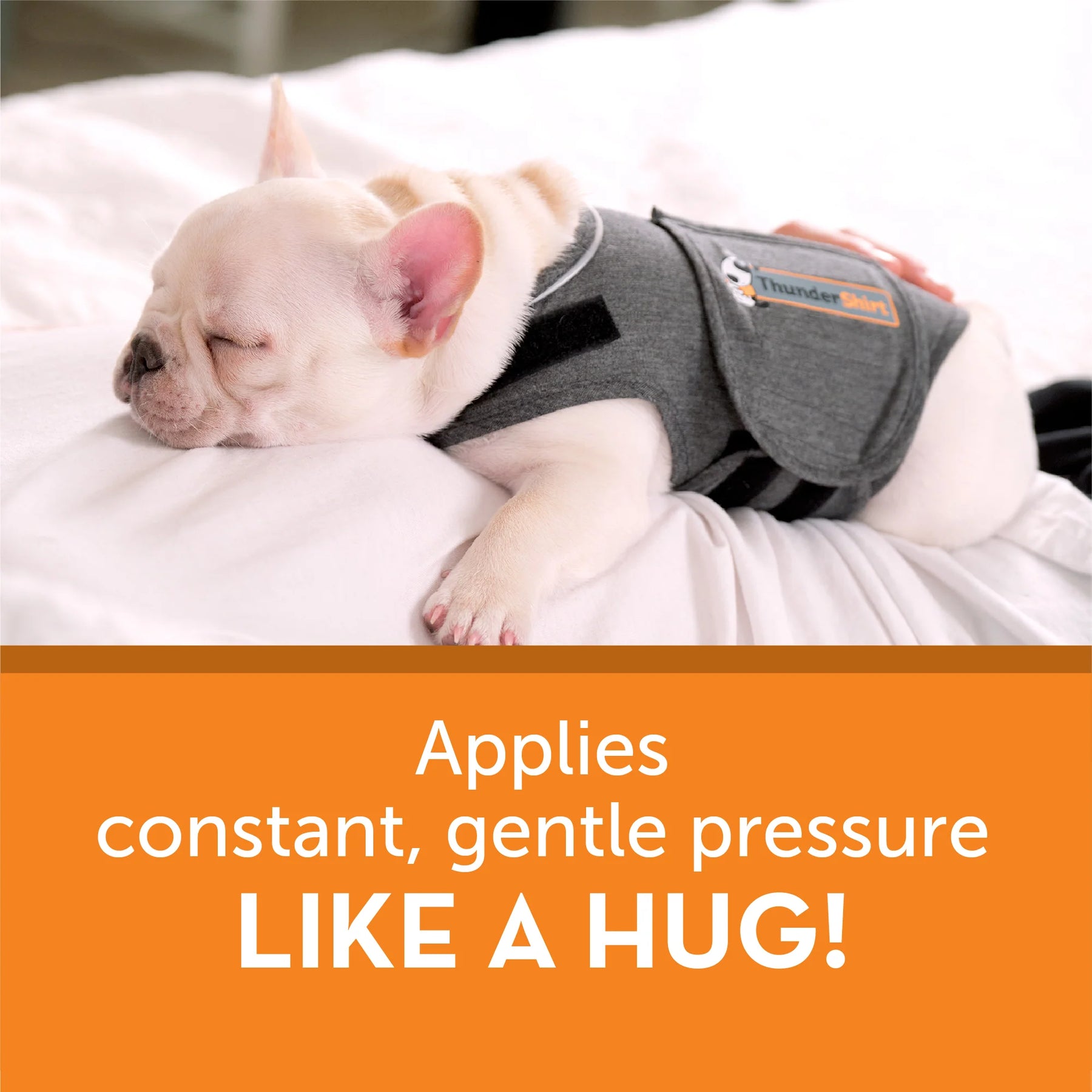 Thundershirt sport 2024 anxiety jacket dog