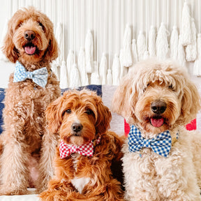 Dog Bow Tie Lake Blue Gingham