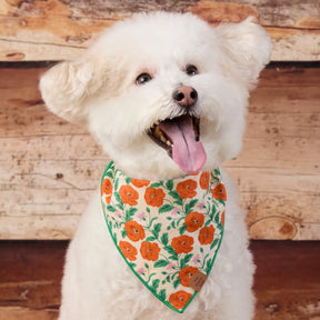 The Foggy Dog - Bandana Dog Golden Poppies