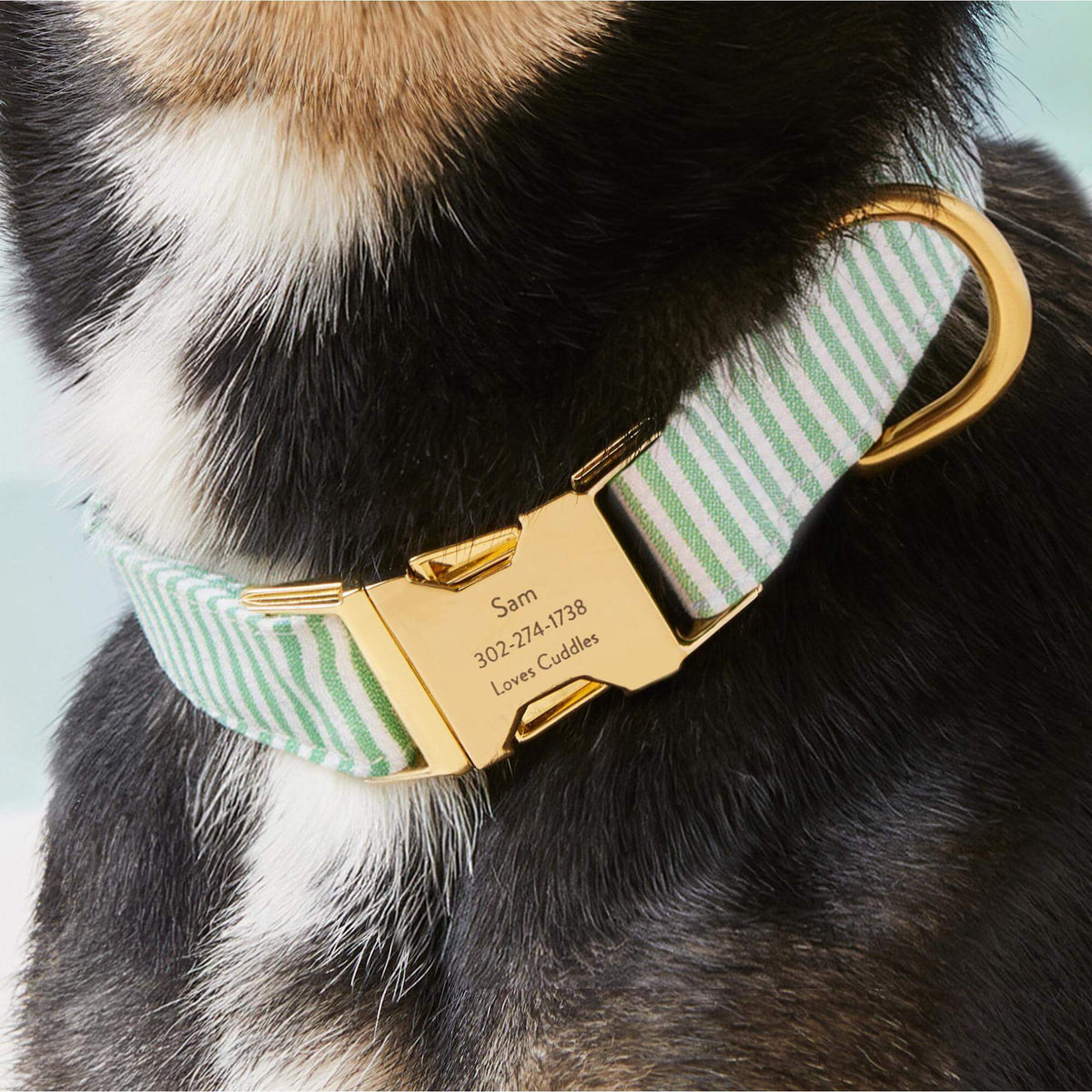 Foggy Dog - Dog Collar Green Seersucker