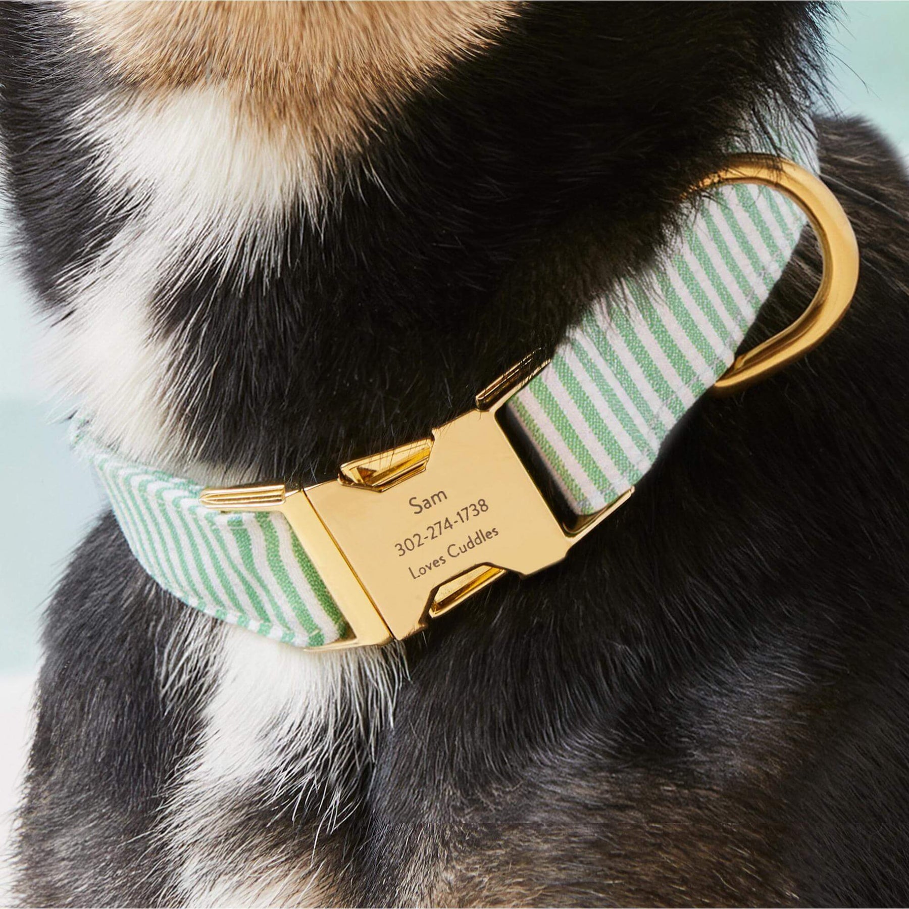 Foggy Dog - Dog Collar Green Seersucker