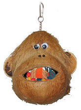 A & E Cage Company - Coco Monkey Bird Toy