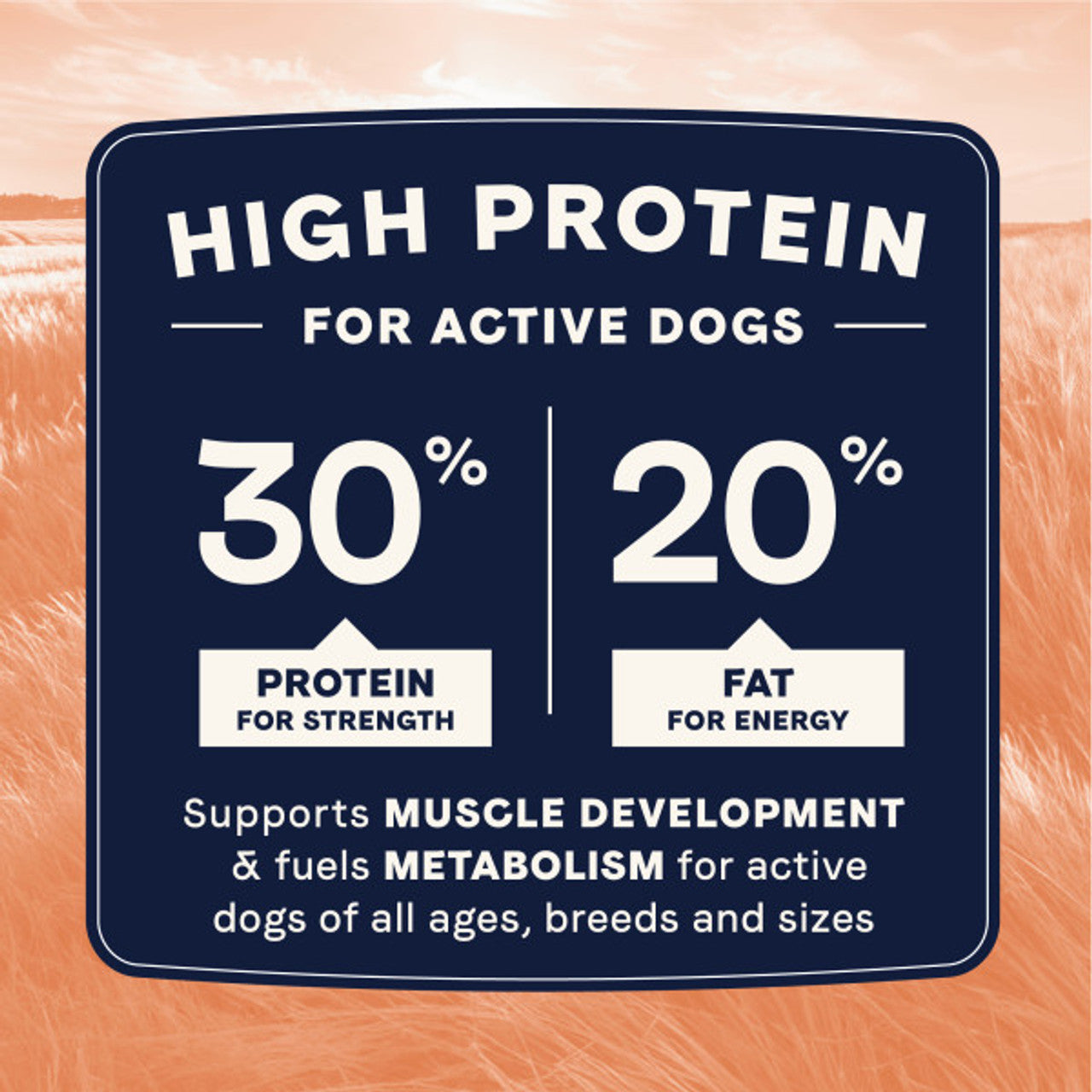 Canidae - All Life Stages High Protein Dry Dog Food, Multi-Protein Recipe