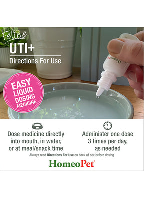 HomeoPet UTI+ (Urinary Tract Inf) for Cats