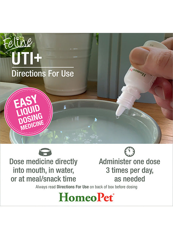 HomeoPet UTI+ (Urinary Tract Inf) for Cats