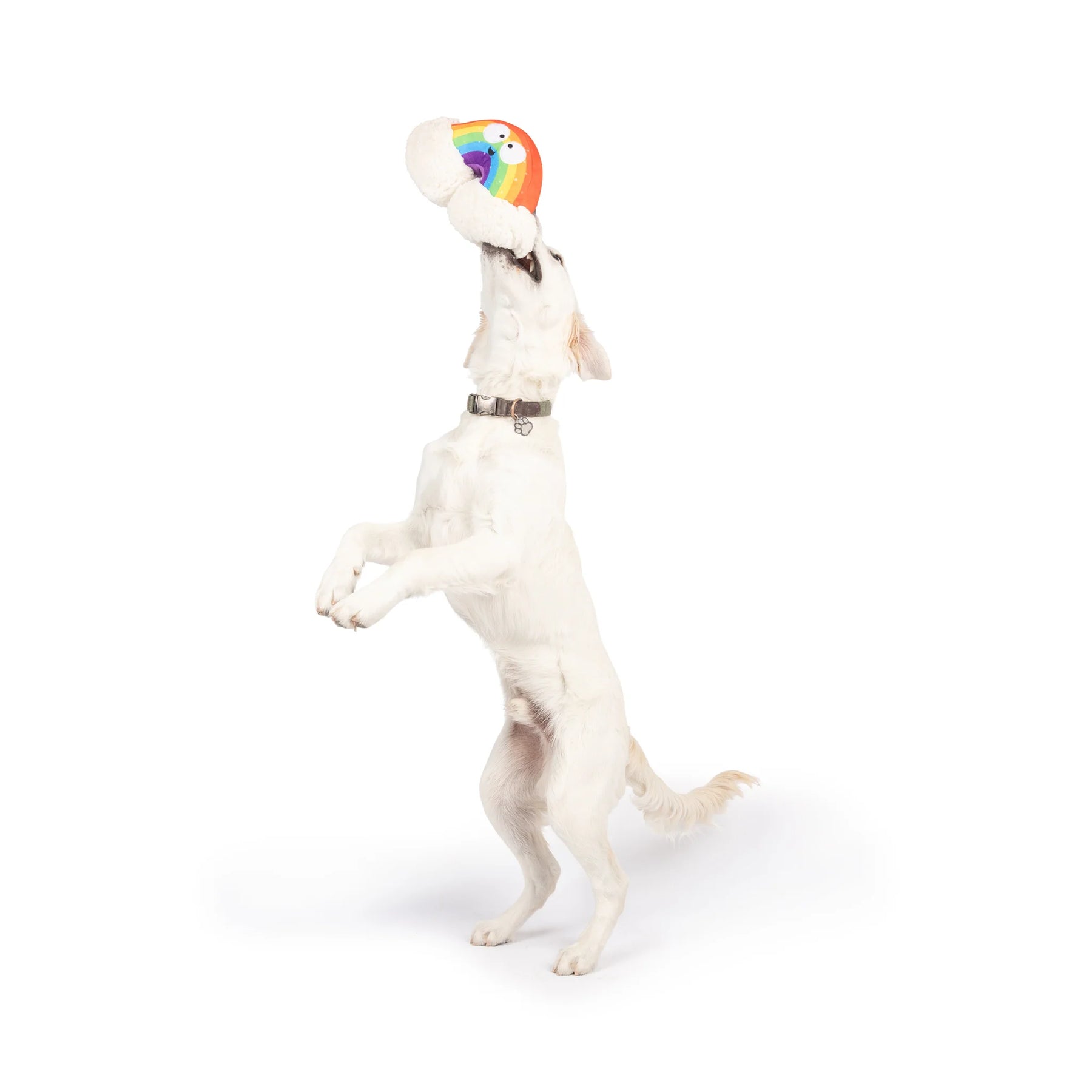 Huxley & Kent - Dog Toy Happy Rainbow
