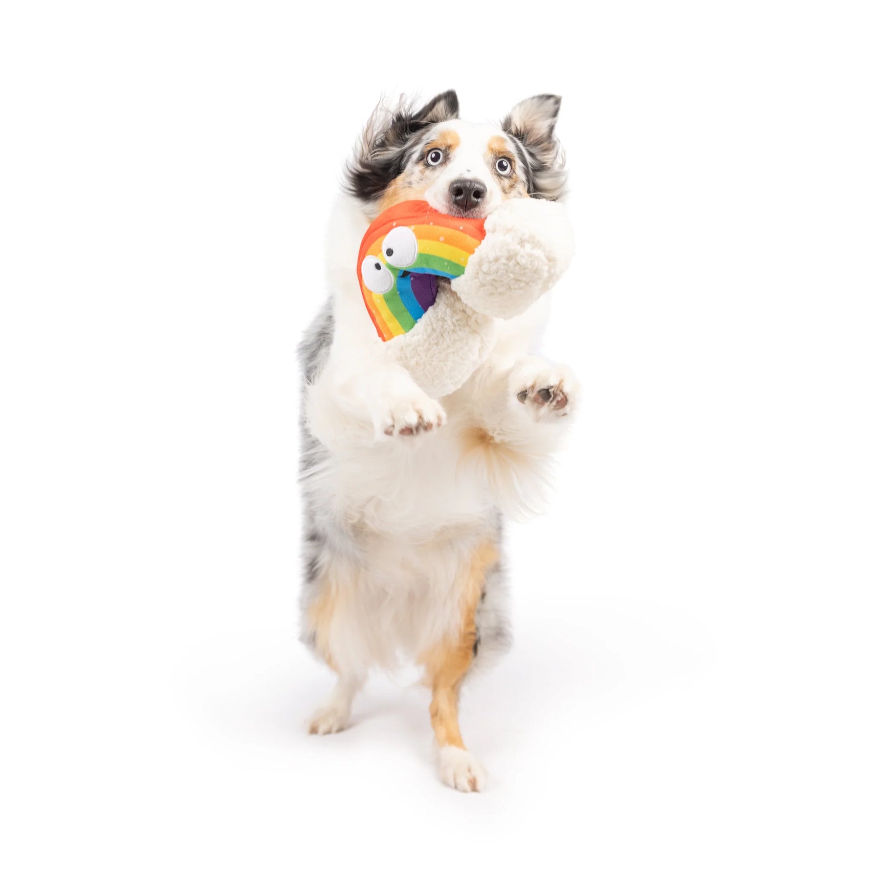 Huxley & Kent - Dog Toy Happy Rainbow