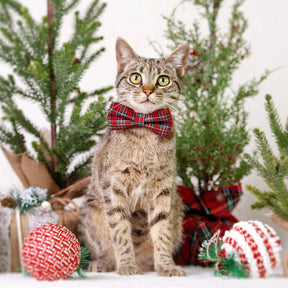 Made by Cleo - Bow Ties Printed