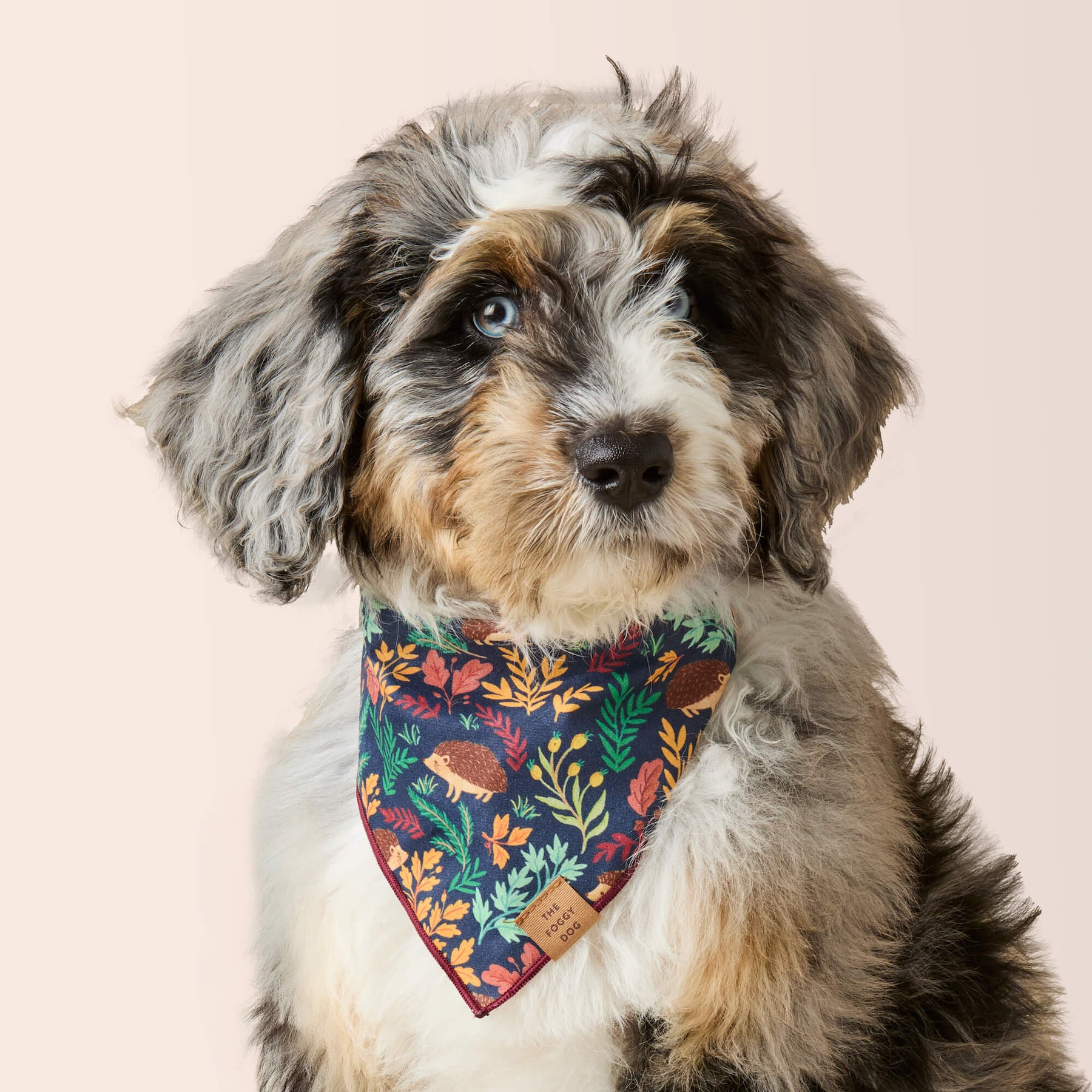 Bandana Hedgehog Hollow