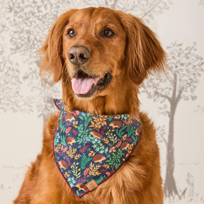 Bandana Hedgehog Hollow