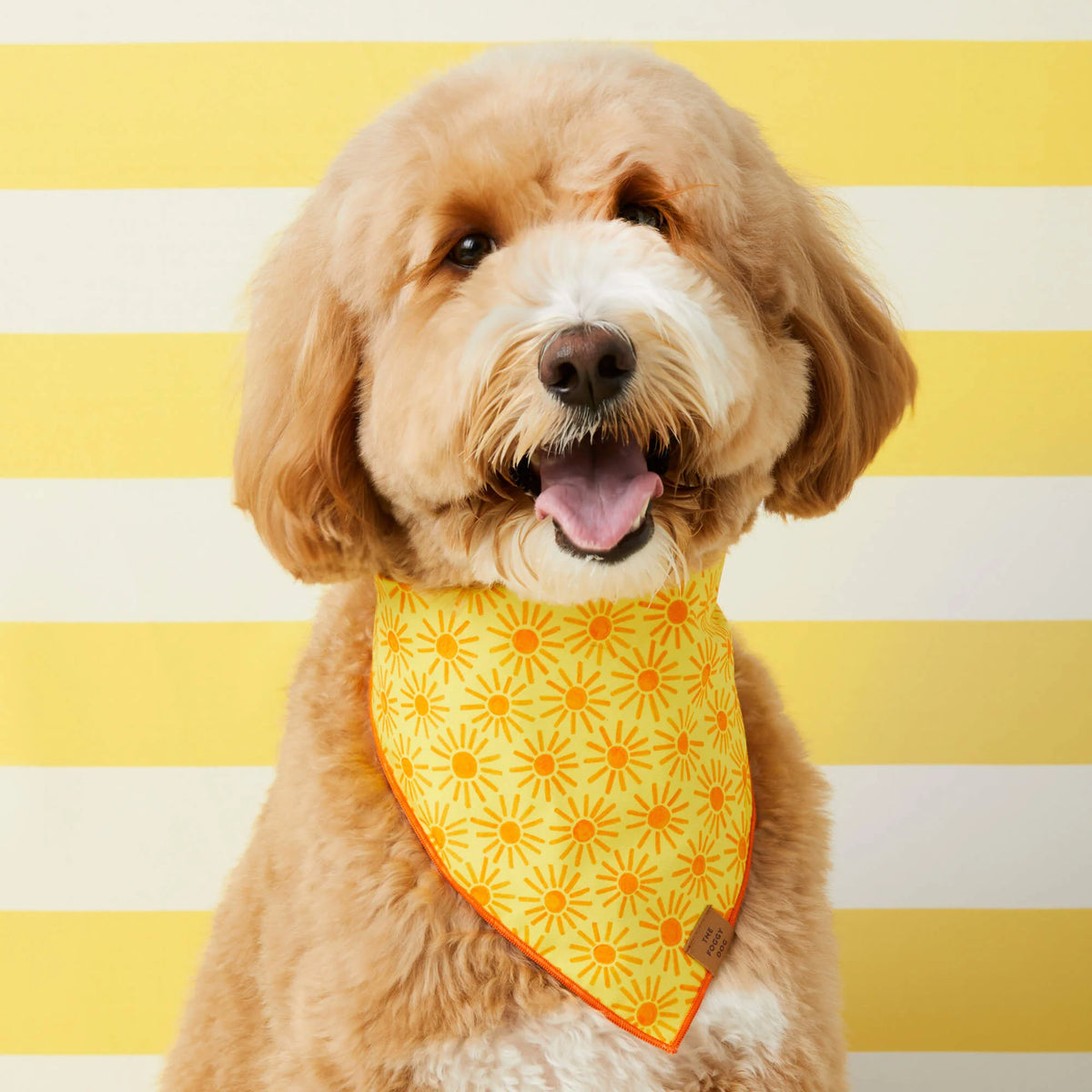 Bandana Here Comes the Sun