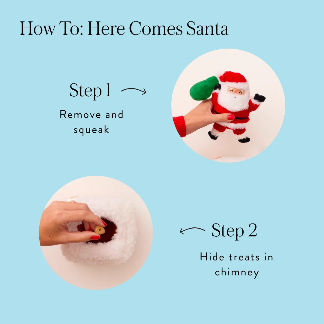 The Foggy Dog - Dog Toy Here Comes Santa