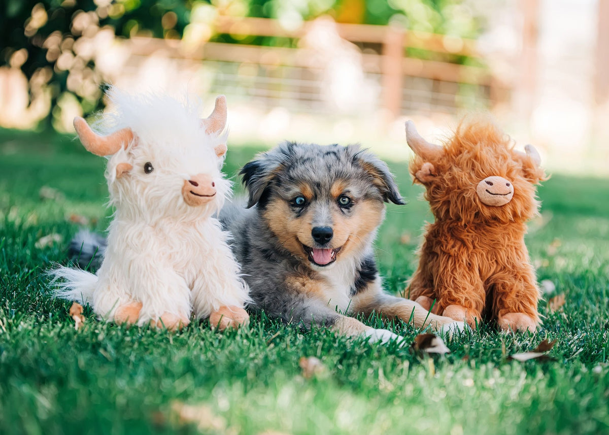 Multipet - Highland Cow Dog Toy