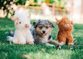 Multipet - Highland Cow Dog Toy