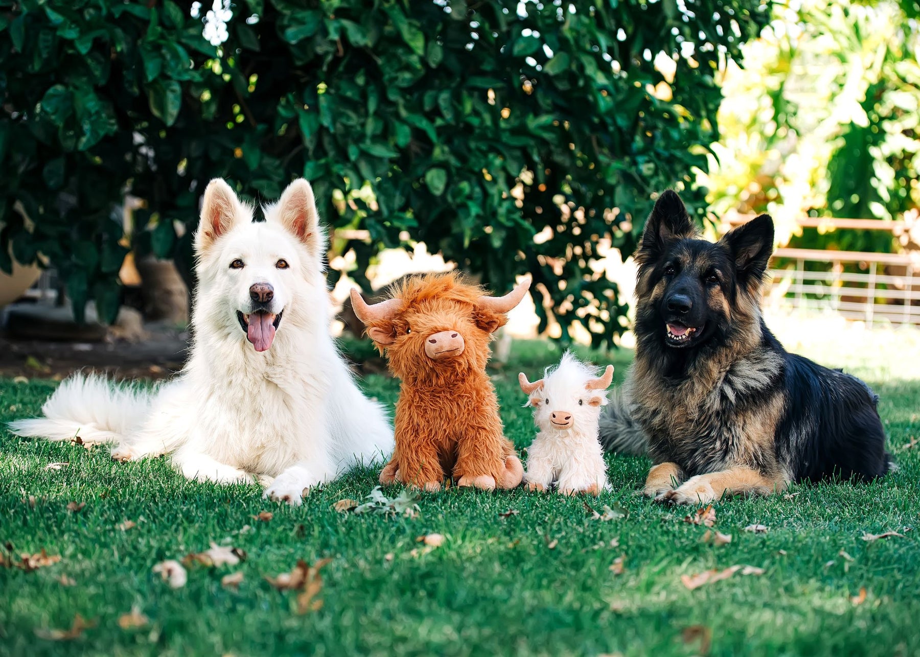 Multipet - Highland Cow Dog Toy