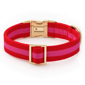 The Foggy Dog - Dog Collar Charlotte Stripped