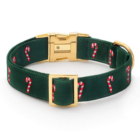 The Foggy Dog - Dog Collar Evergreen Candy Cane