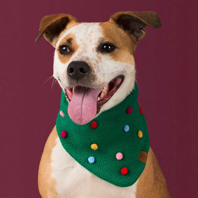 The Foggy Dog - Bandana Holiday Bobble Knit