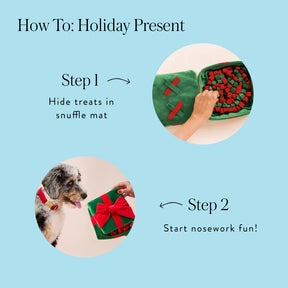 Foggy Dog - Dog Toy Holiday Present - Southern Agriculture 