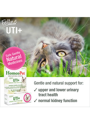 HomeoPet UTI+ (Urinary Tract Inf) for Cats