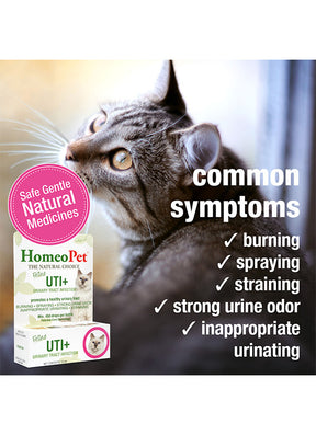HomeoPet UTI+ (Urinary Tract Inf) for Cats