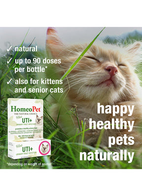 HomeoPet UTI+ (Urinary Tract Inf) for Cats