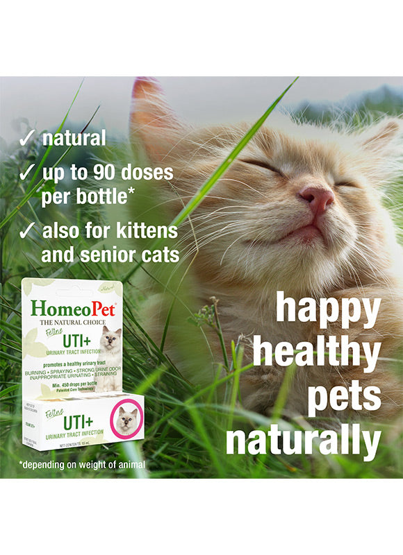 HomeoPet UTI+ (Urinary Tract Inf) for Cats
