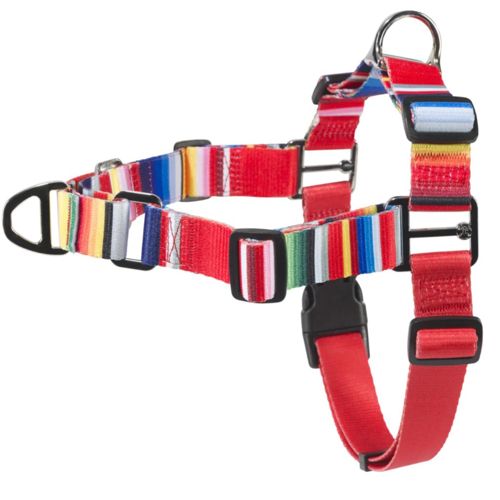 Hooey Pet Walking Harness - Serape Tijuana