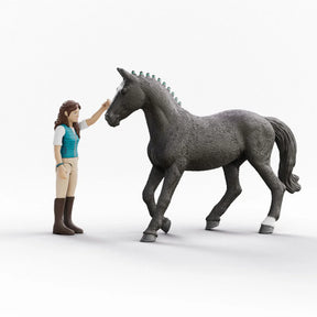 Schleich - Lisa & Strom