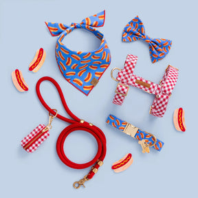 Dog Collar Hot Diggity Dog