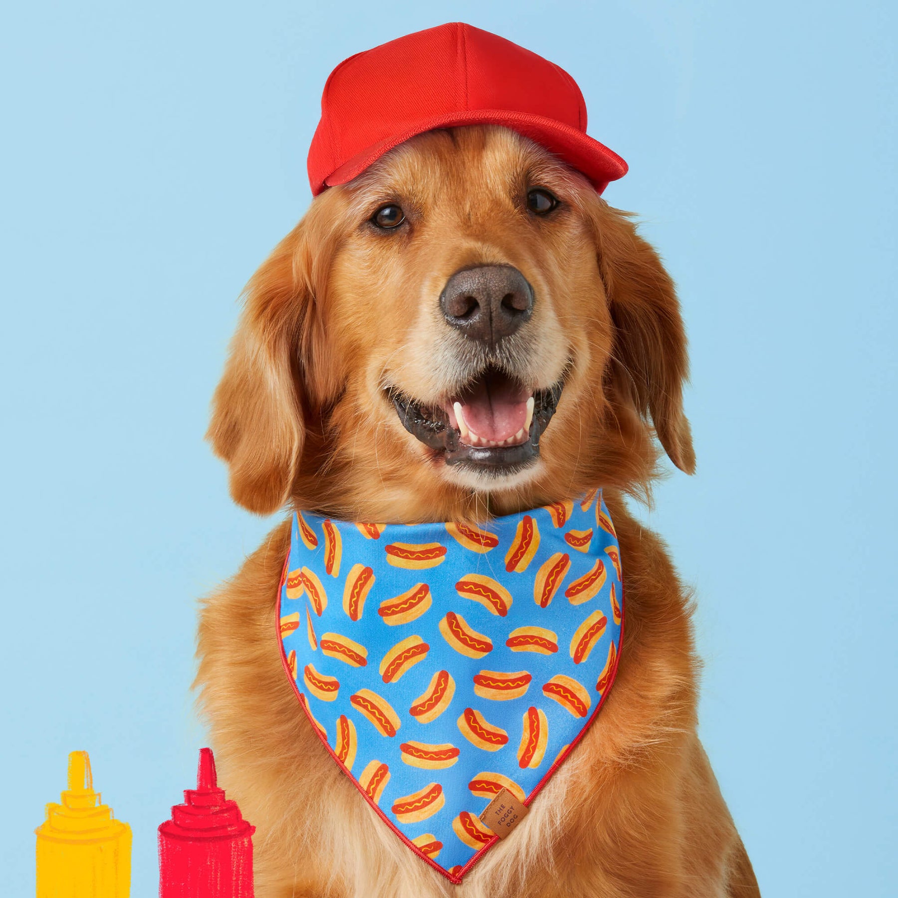 The Foggy Dog - Bandana Dog Hot Diggity