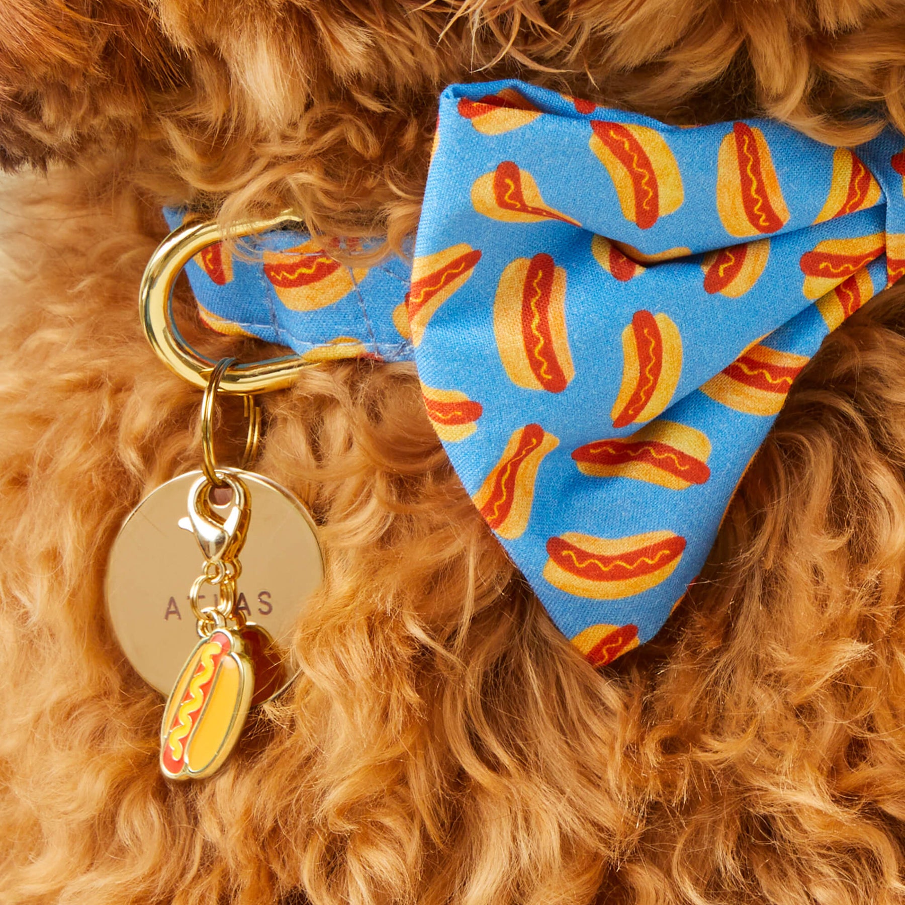 The Foggy Dog - Collar Charm Hot Dog