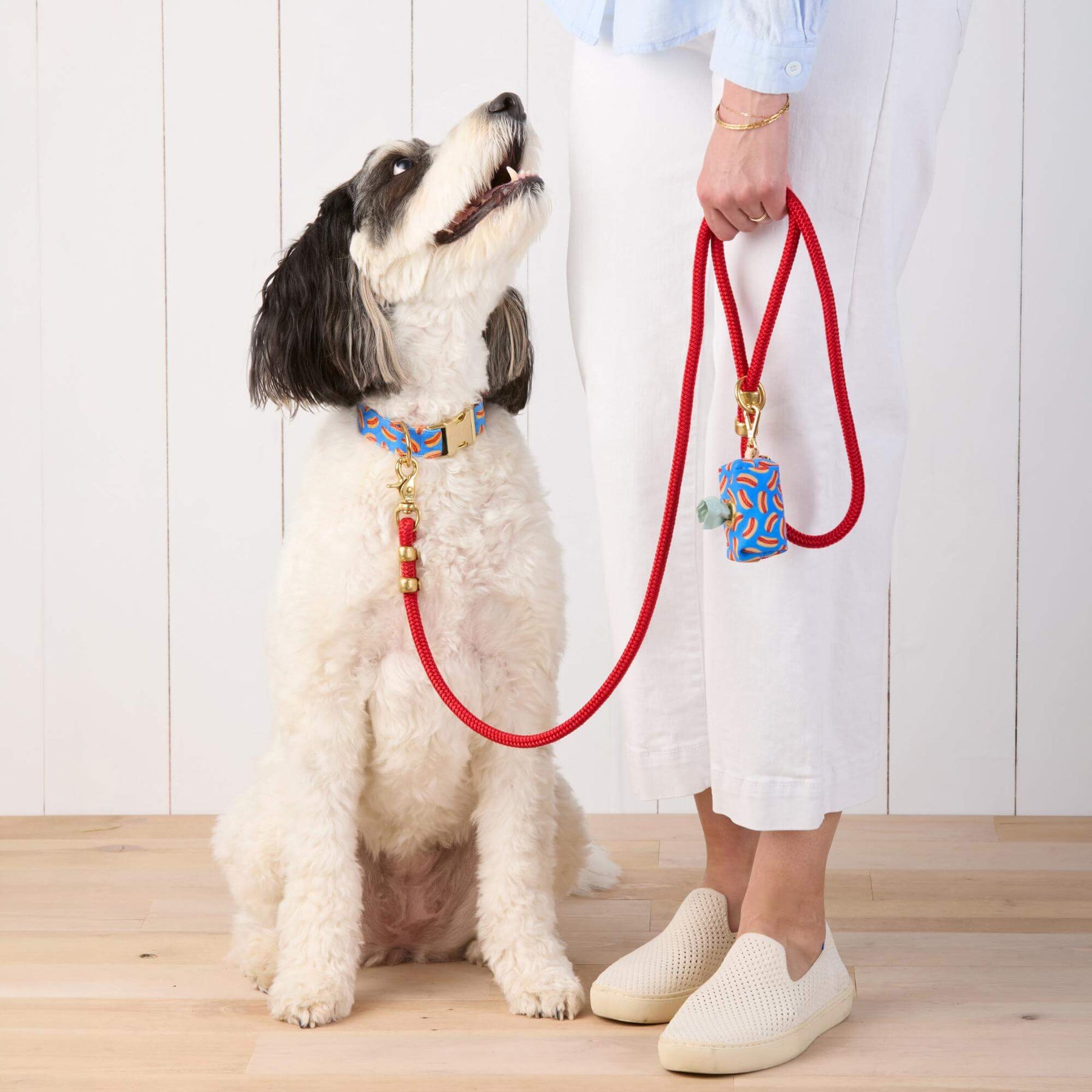 The Foggy Dog - Waste Bag Dispenser Hot Diggity