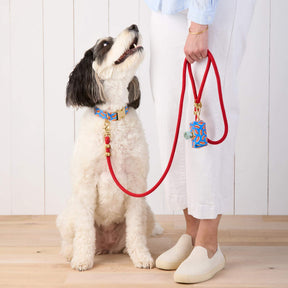 The Foggy Dog - Waste Bag Dispenser Hot Diggity