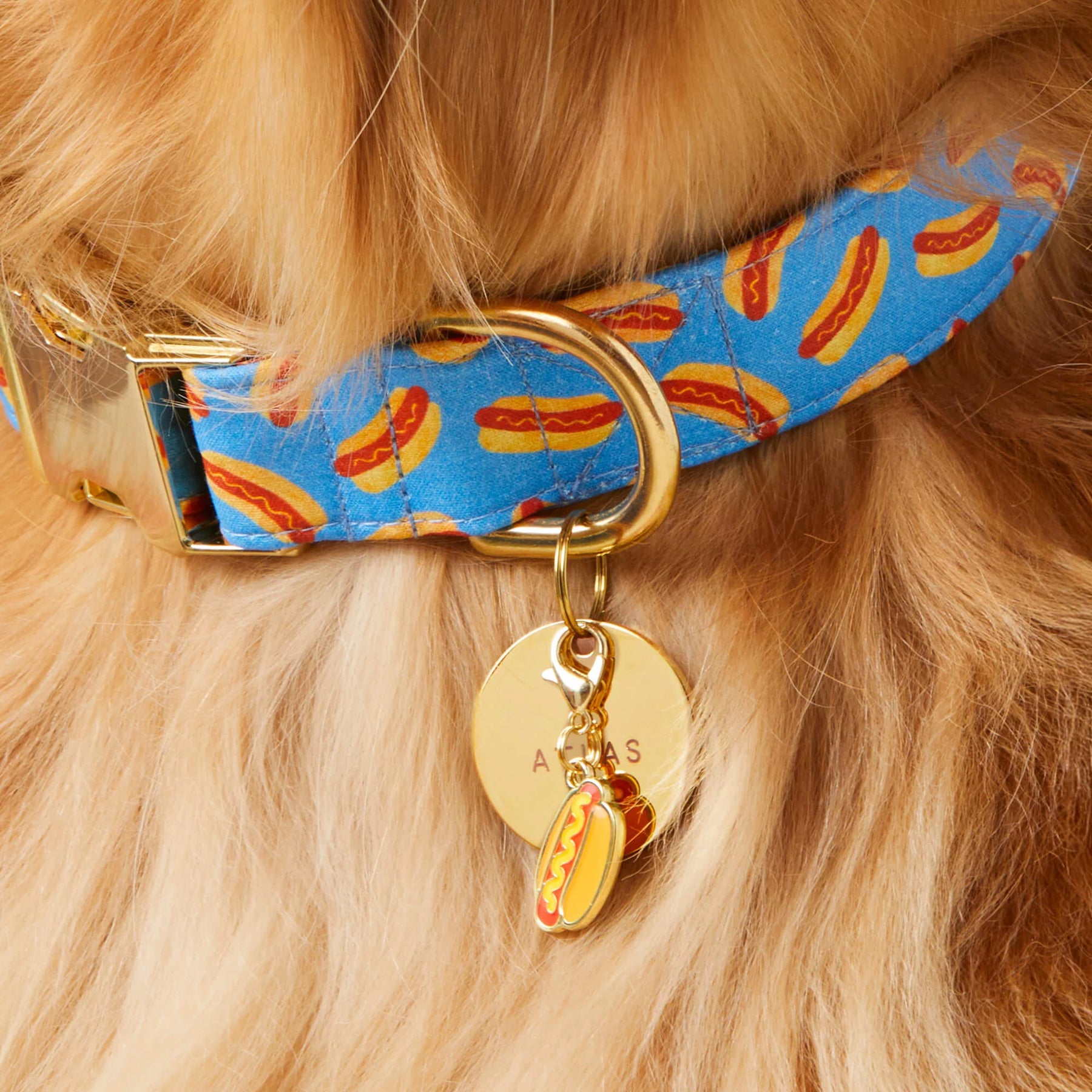 The Foggy Dog - Collar Charm Hot Dog