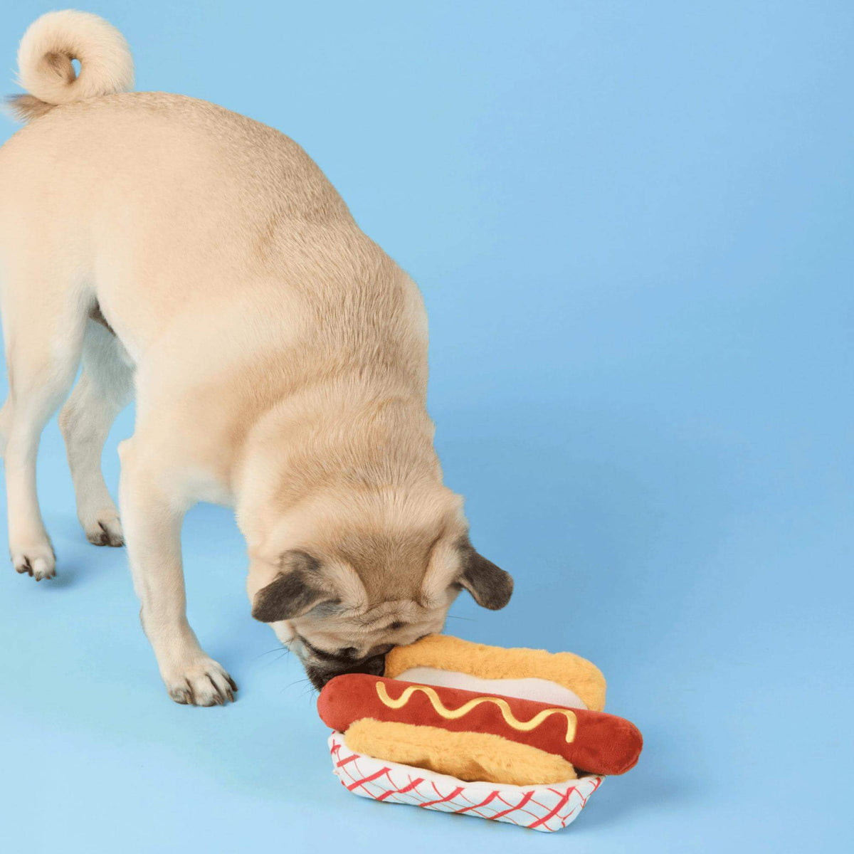 The Foggy Dog - Dog Toy Hot Dog Interactive
