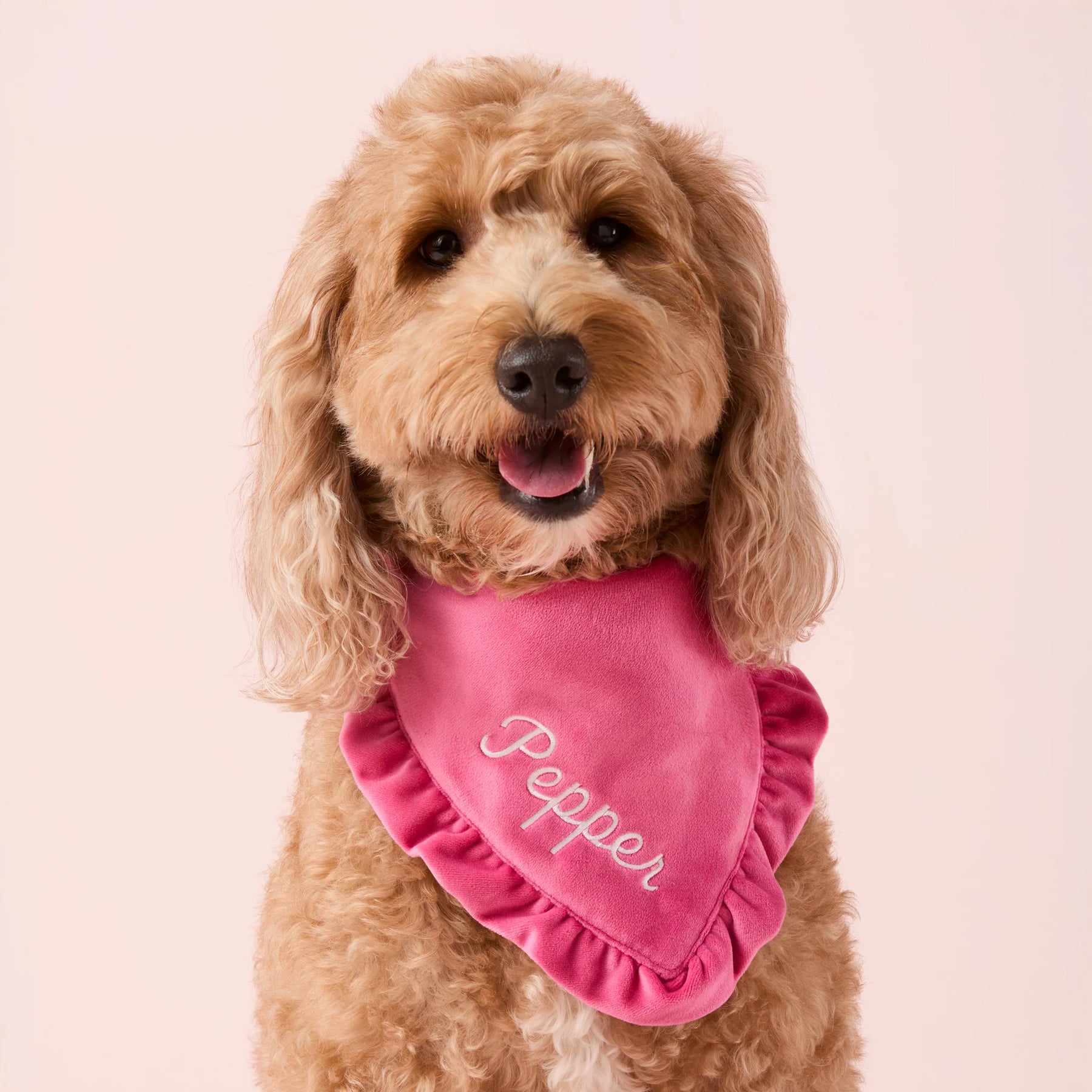 The Foggy Dog - Bandana Hot Pink Velvet