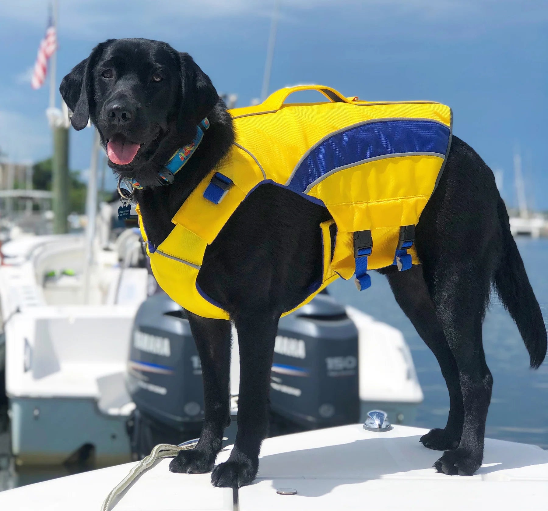 Baydog - Monterey Bay Canine LifeJacket