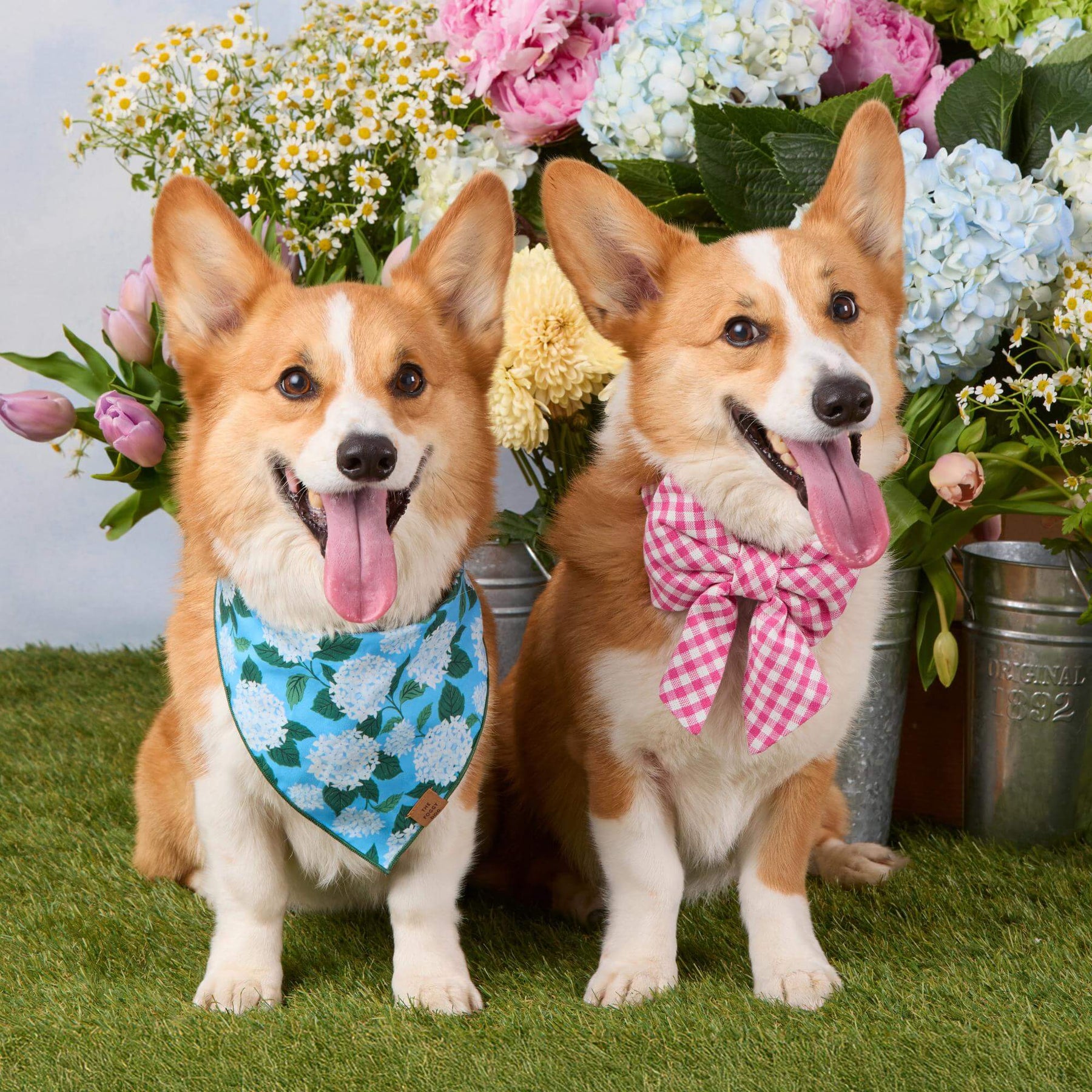 The Foggy Dog - Bandana Dog Hydrangea
