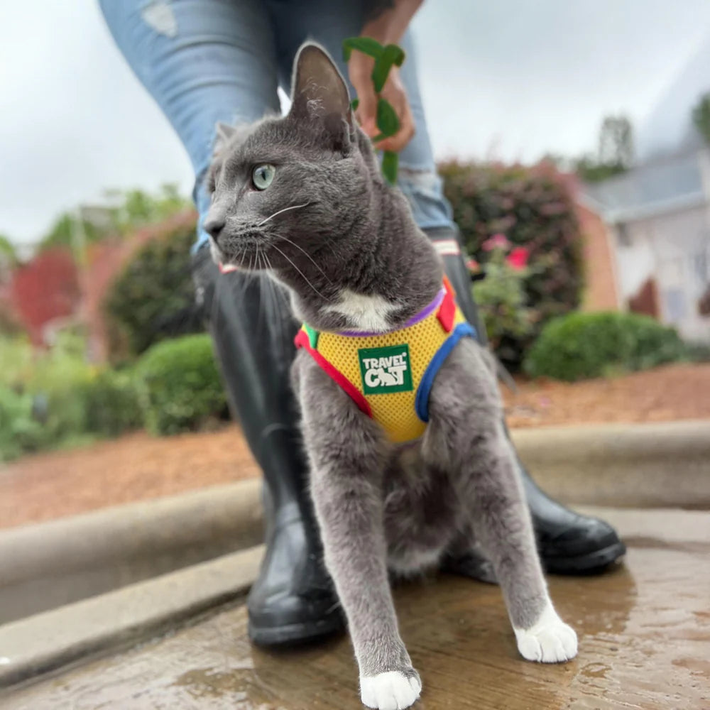 Harness & Leash Set - "The Rainbow"