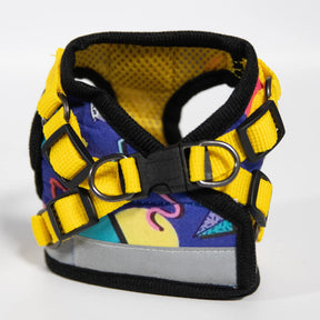 Harness & Leash Set-"The 90s Cat"