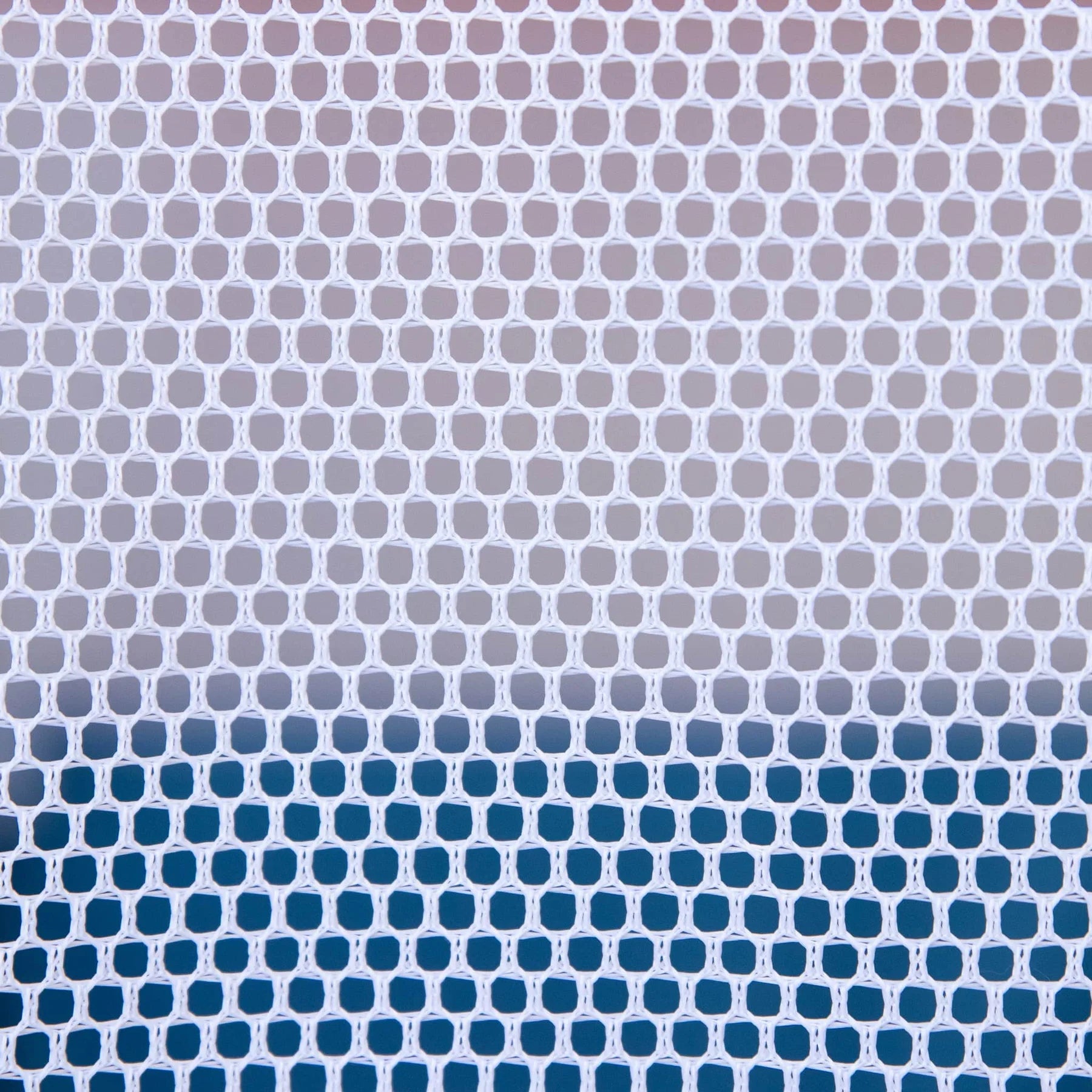 "The Feline Fun House" Portable Play Tent