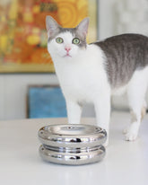 Catenary Home - Elevated Halo Pet Bowl Chrome