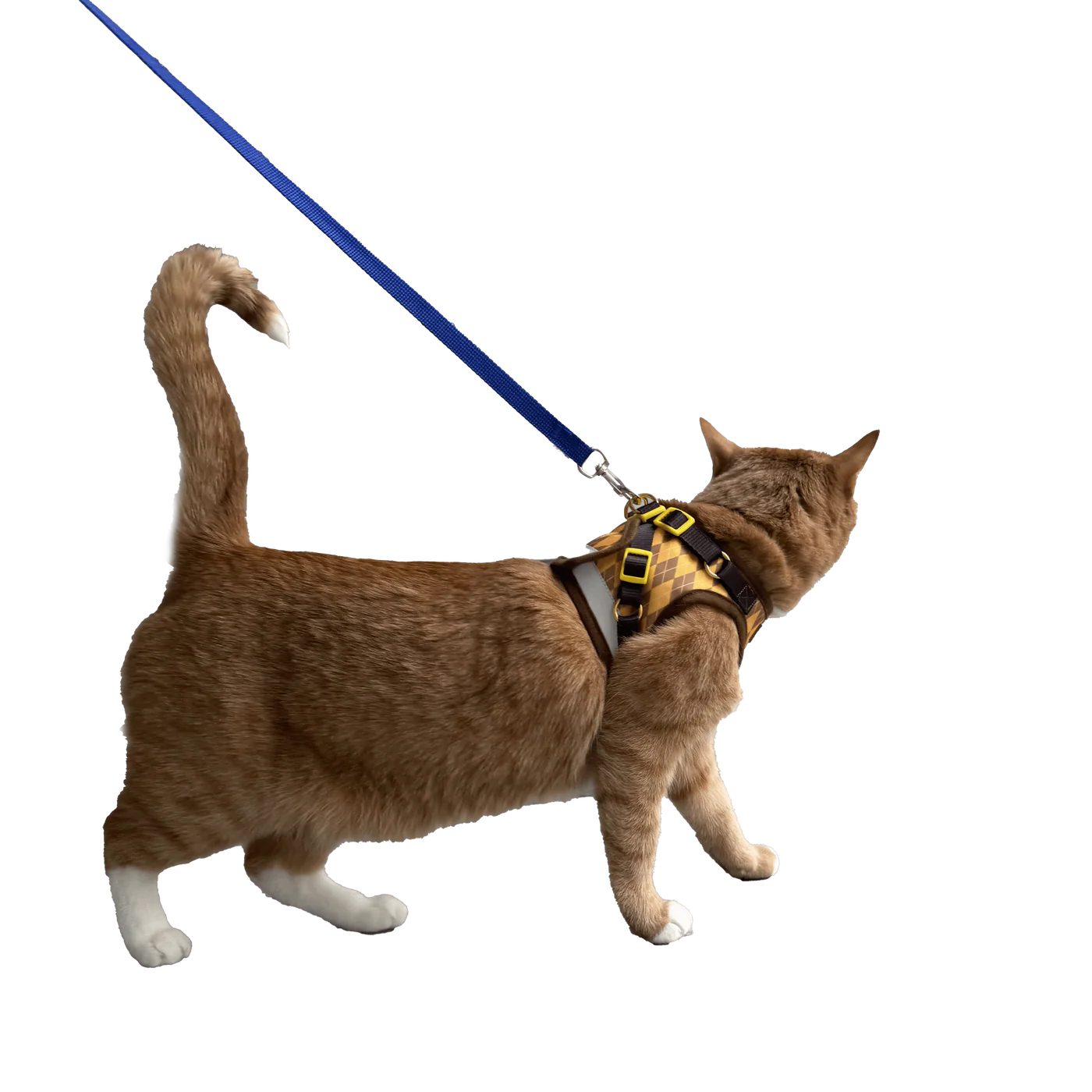 Argylle X Travel Cat Harness & Leash